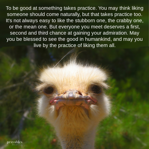 To be good at something takes practice. You may think liking someone should come naturally, but that takes practice too. It’s not
always easy to like the stubborn one, the crabby one, or the mean one. But everyone you meet deserves a first, second and third chance at gaining your admiration. May you be blessed to see the good in humankind, and may you live by the practice of liking them all. 