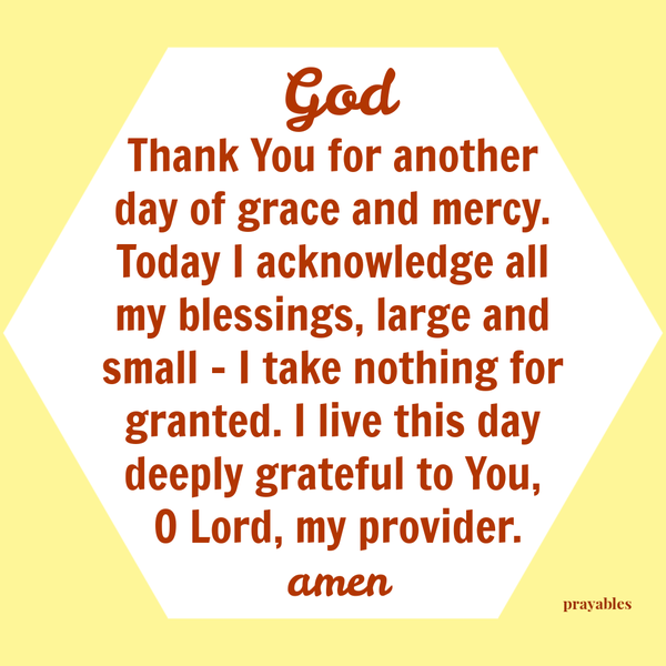 God Thank You for another day of grace and mercy. Today I acknowledge all my blessings, large and small – I take nothing for granted. I live this day deeply grateful to You, O Lord, my provider. amen