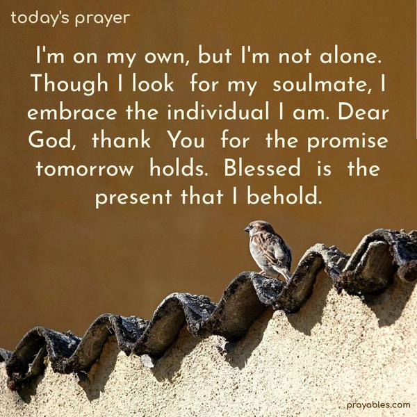I’m on my own, but I’m not alone. Though I look for my soulmate, I embrace the individual I am. Dear God, thank You for the promise tomorrow holds. Blessed is the present that I behold.