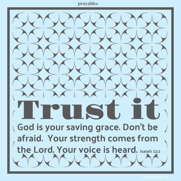 Isaiah 12:2  Trust it God is your saving grace. Don’t be afraid. Your strength comes from the Lord. Your voice is heard.