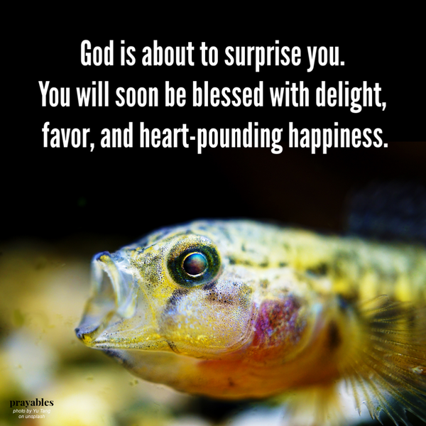 God is about to surprise you. You will soon be blessed with delight, favor, and heart-pounding happiness.