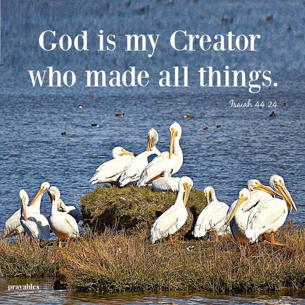 Isaiah 44:24 God is my Creator who made all things.