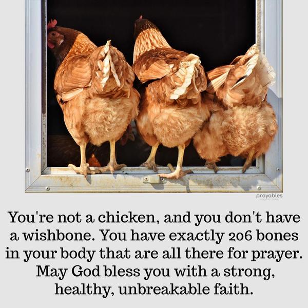  You're not a chicken, and you don't have a wishbone. You have exactly 206 bones in your body that are all there for prayer. May God bless you with a
strong, healthy, unbreakable faith.