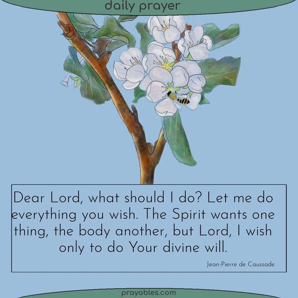 Dear Lord, what should I do? Let me do everything you wish. The Spirit wants one thing, the body another, but Lord, I wish only to do Your divine will. Jean-­Pierre de
Caussade