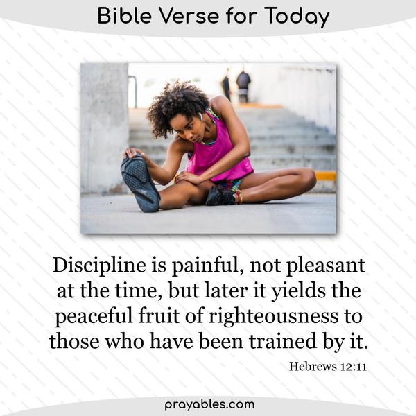 Hebrews 12:11 Discipline is painful, not pleasant at the time, but later it yields the peaceful fruit of righteousness to those who have been trained by it.
