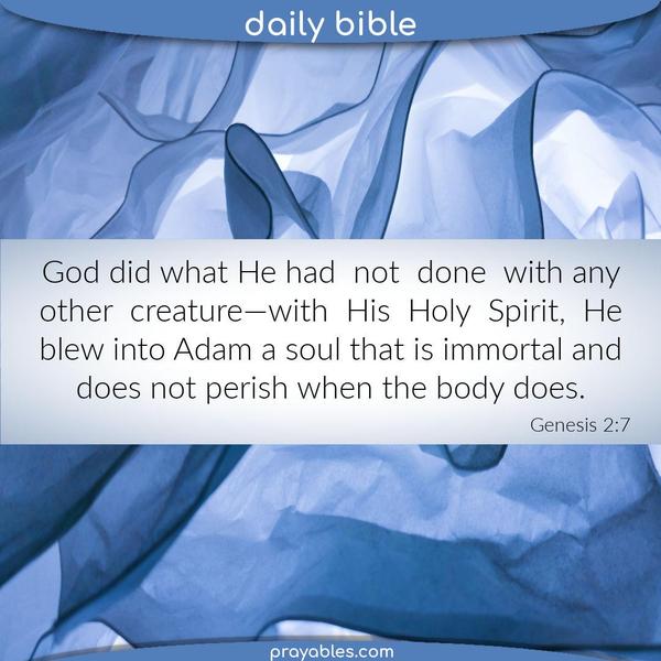 Genesis 2:7 God did what He had not done with any other creature—with His holy Spirit, He blew into Adam a soul that is immortal and does not perish when
the body does.