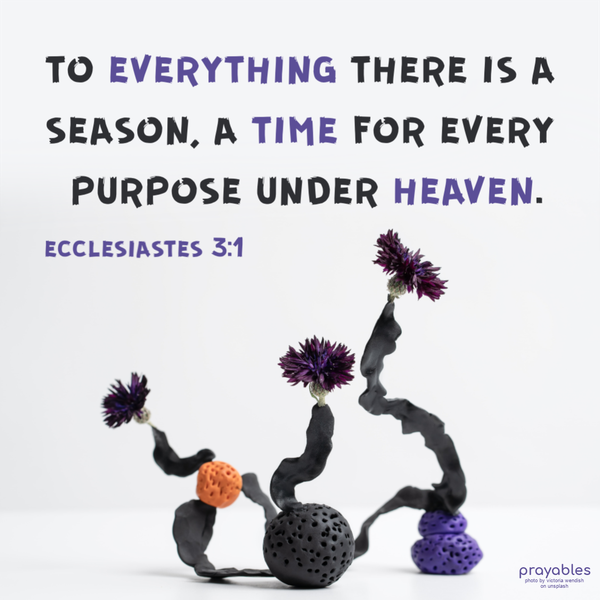  Ecclesiastes 3:1 To everything there is a season, a time for every purpose under heaven.