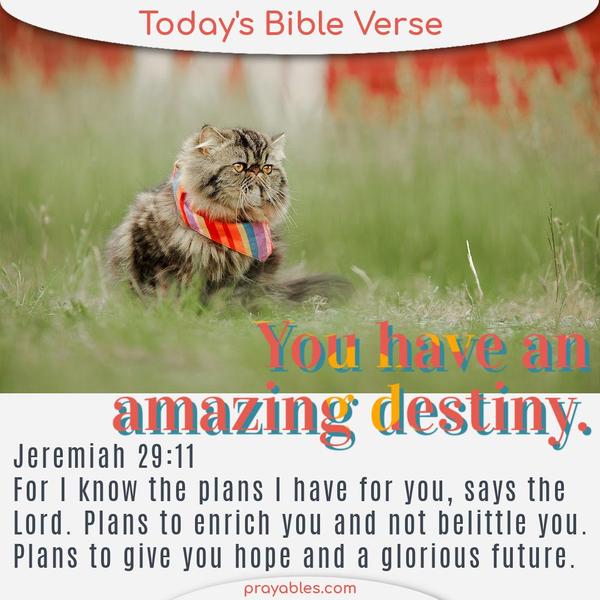 Jeremiah 29:11 You have an amazing destiny, for I know the plans I have for you, says the Lord. Plans to enrich you and not belittle you. Plans to give you hope and a glorious
future.