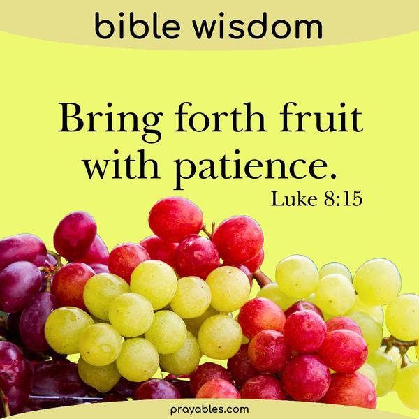 Luke 8:15 Bring forth fruit with patience.