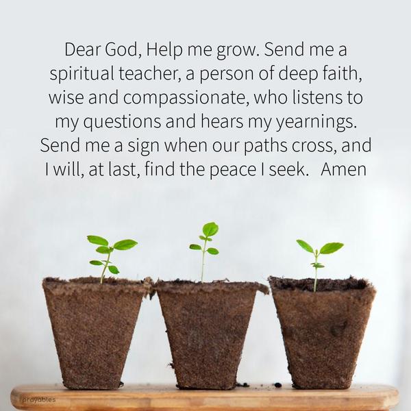 Dear God, Help me grow. Send me a spiritual teacher, a person of deep faith, wise and compassionate, who listens to my questions and hears my yearnings. Send me a sign when our paths
cross, and I will, at last, find the peace I seek.   Amen