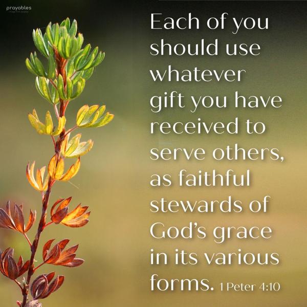 1 Peter 4:10 Each of you should use whatever gift you have received to serve others as faithful stewards of God’s grace in its various forms.