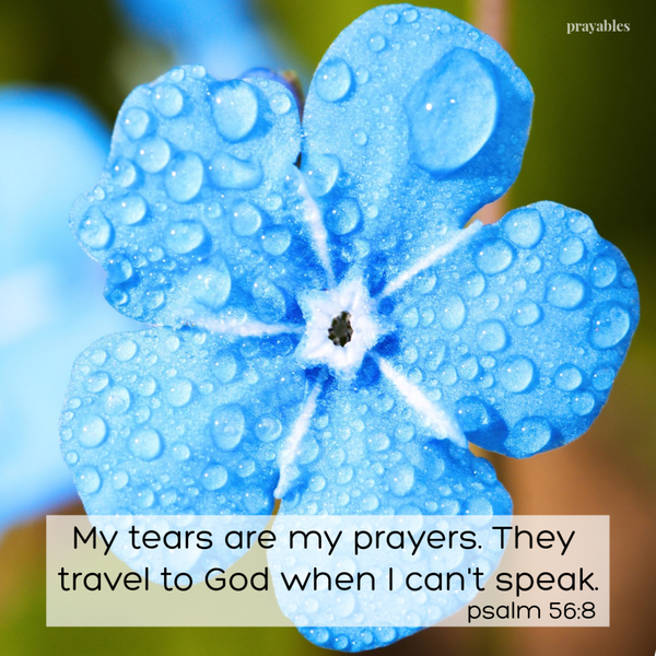 Psalm 56:8  My tears are my prayers. They travel to God when I can't speak.  