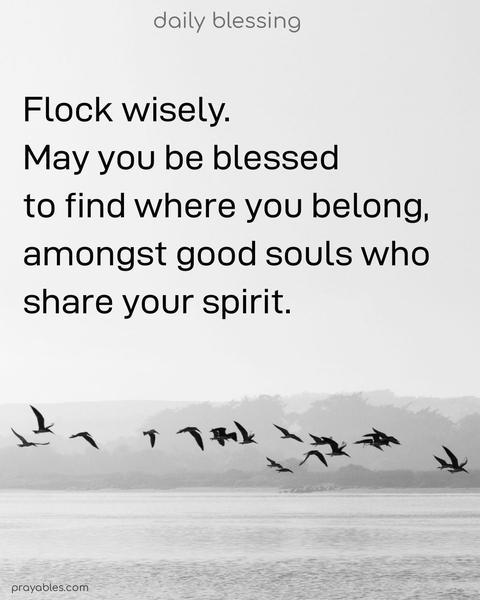 Flock wisely. May you be blessed to find where you belong, amongst good souls who share your spirit.