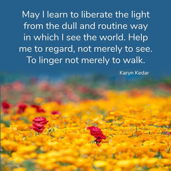 May I learn to liberate the light from the dull and routine way in which I see the world. Help me to regard, not merely to see. To linger not merely to
walk. Karyn Kedar