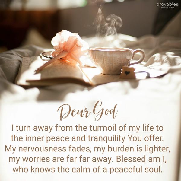 Dear God, I turn away from the turmoil of my life to the inner peace and tranquility that You offer. My nervousness fades, my burden is lighter, my worries
are far far away. Blessed am I, who knows the calm of a peaceful soul. 