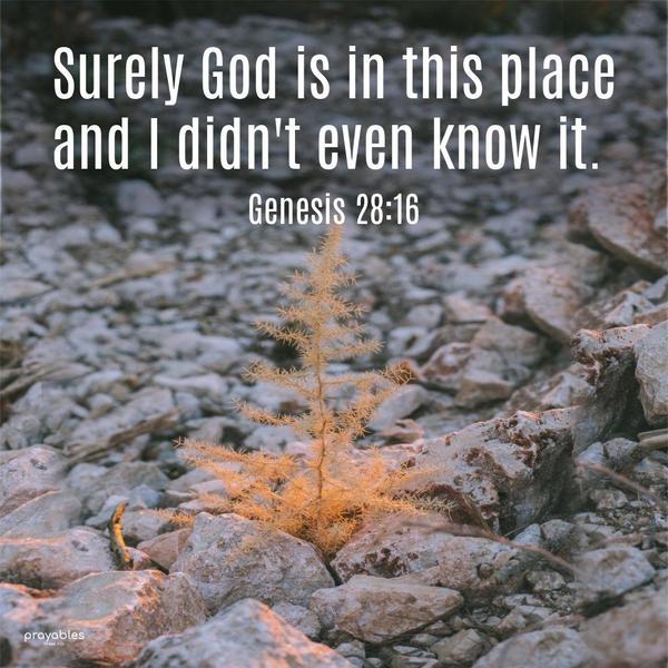 Genesis 28:16 Surely God is in this place, and I didn't even know it.