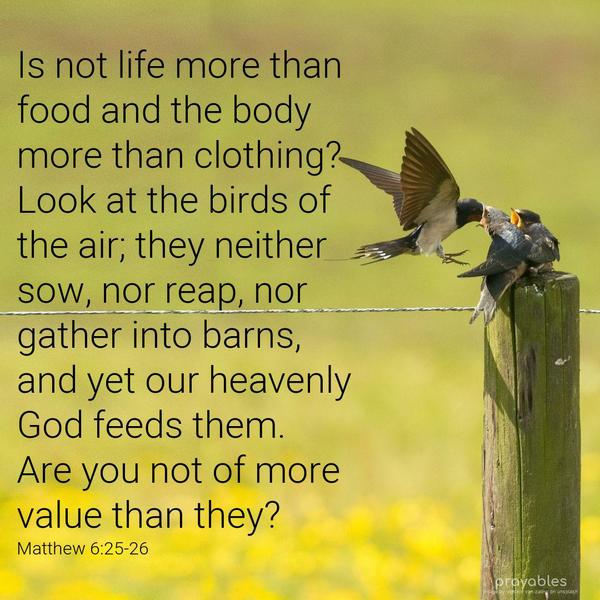 Matthew 6:25-26 Is not life more than food and the body more than clothing? Look at the birds of the air; they neither sow, nor reap, nor gather into barns, and yet our heavenly God feeds
them. Are you not of more value than they?