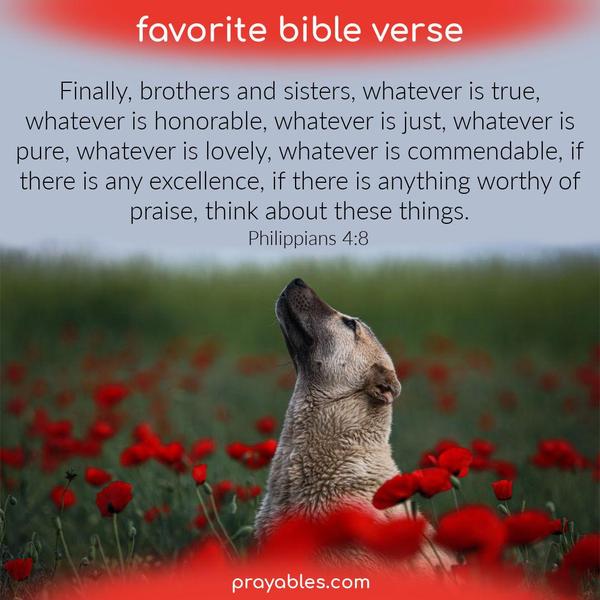 Philippians 4:8 Finally, brothers and sisters, whatever is true, whatever is honorable, whatever is just, whatever is pure, whatever is
lovely, whatever is commendable, if there is any excellence, if there is anything worthy of praise, think about these things.