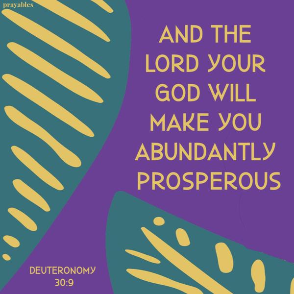 Deuteronomy 30:9 And the Lord your God will make you abundantly prosperous.