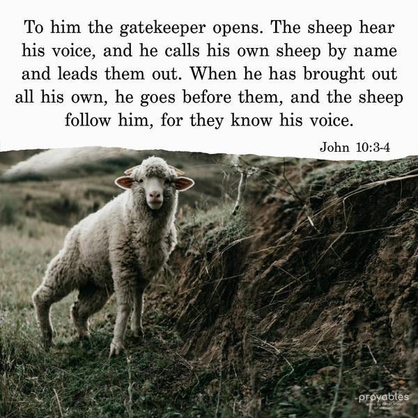 John 10:3–4 To him the gatekeeper opens. The sheep hear his voice, and he calls his own sheep by name and leads them out. When he has brought out all his
own, he goes before them, and the sheep follow him, for they know his voice. 