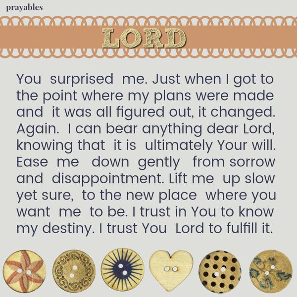 Lord You  surprised  me. Just when I got to the point where my plans were made and  it was all figured out, it changed. Again.  I can bear anything dear Lord, knowing that  it is  ultimately Your will. Ease  me   down  gently   from
sorrow and  disappointment. Lift me  up slow yet sure,  to the new place  where you want  me  to be. I trust in You to know my destiny. I trust You  Lord to fulfill it.