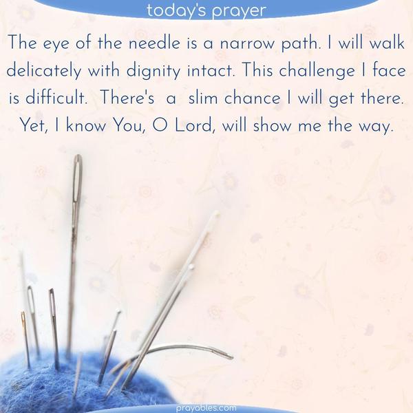 The eye of the needle is a narrow path. I will walk delicately with dignity intact. This challenge I face is difficult. There's a slim chance I will get there. Yet, I know You, O Lord, will show me the way.