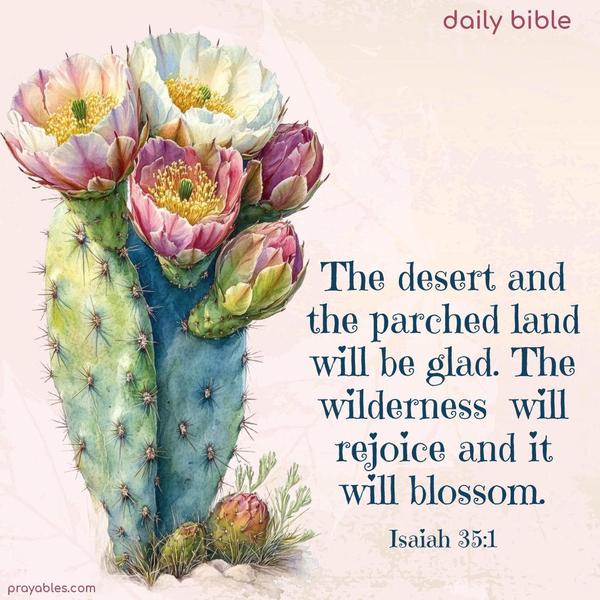 The desert and the parched land will be glad. The wilderness will rejoice, and it will blossom. Isaiah 35:1