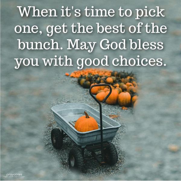 When it’s time to pick one, get the best of the bunch. May God bless you with good choices.