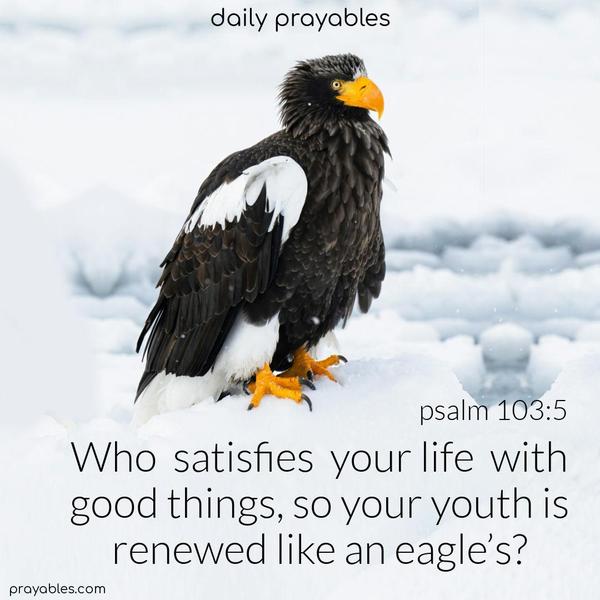 Who satisfies your life with good things so your youth is renewed like an eagle’s? Psalm 103:5