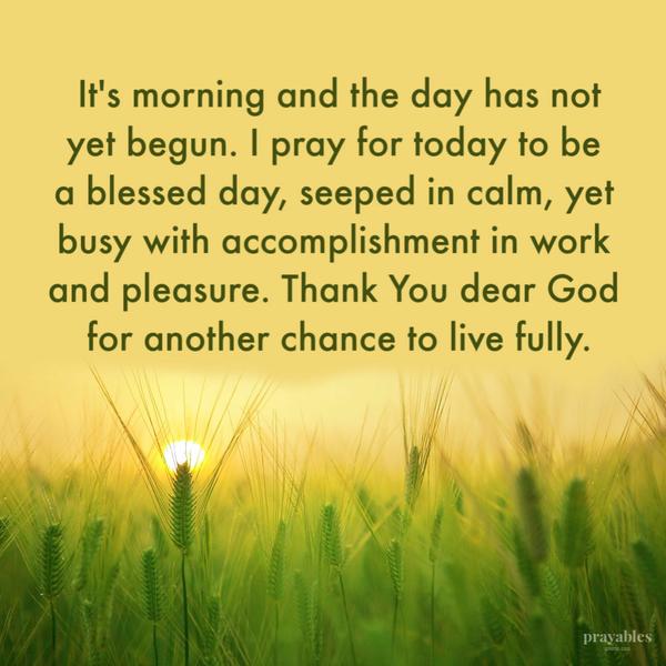 It’s morning and the day has not yet begun. I pray for today to be a blessed day, seeped in calm, yet busy with accomplishment in work and pleasure. Thank You dear God for
another chance to live fully.