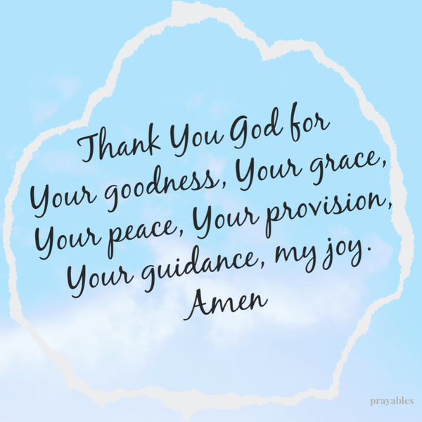 Thank You God for Your goodness, Your grace, Your peace, Your provision, Your guidance, my joy. Amen