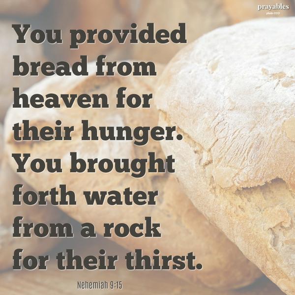 Nehemiah 9:15 You provided bread from heaven for their hunger. You brought forth water from a rock for their thirst.