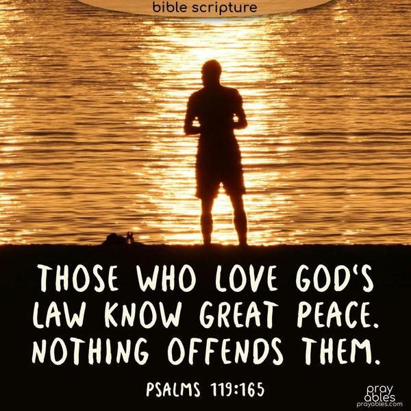 Those who love God's law know great peace. Nothing offends them. Psalms 119:165