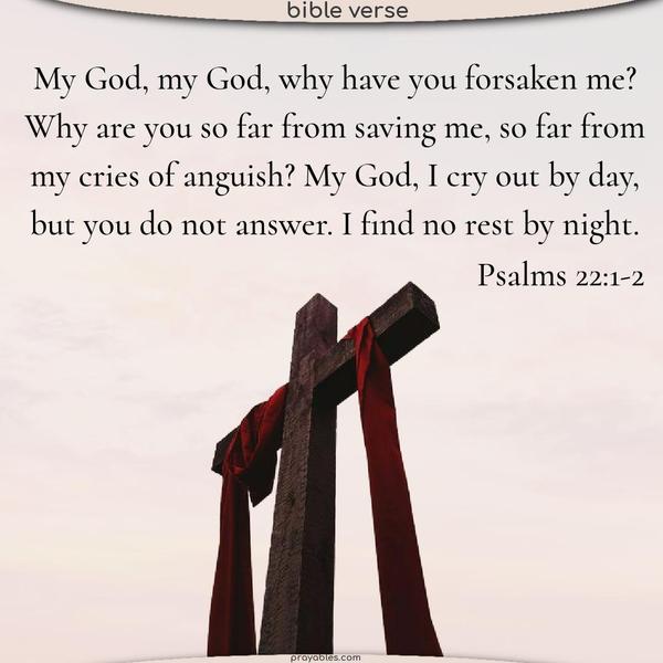 My God, my God, why have you forsaken me? Why are you so far from saving me, so far from my cries of anguish? My God, I cry out by day, but you do not answer. I find no rest by night. Psalms 22:1-2
