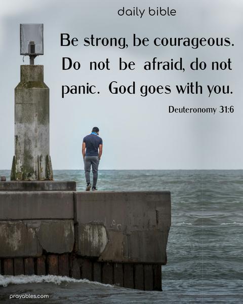 Be strong, be courageous. Do not be afraid, do not panic. God goes with you. Deuteronomy 31:6
