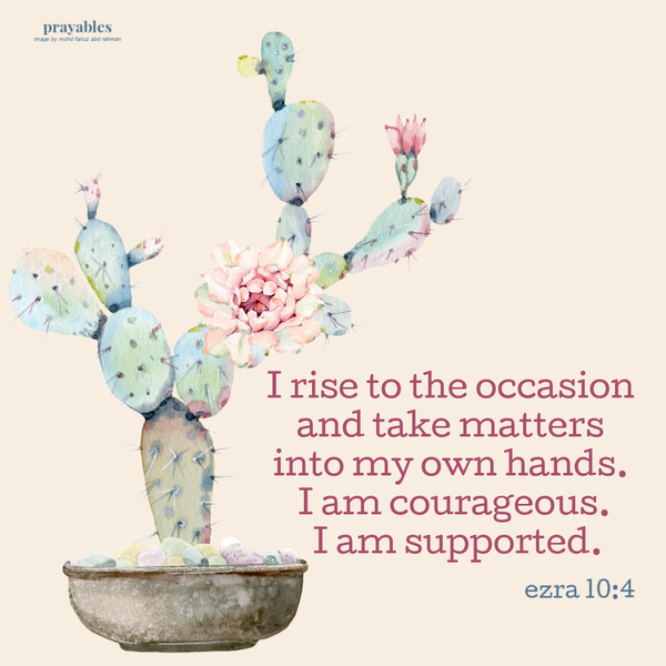 Ezra 10:4  I rise to the occasion and take matters into my own hands. I am courageous. I am supported.