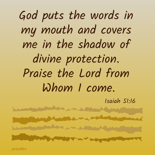 Isaiah 51:16 God puts the words in my mouth and covers me in the shadow of divine protection. Praise the Lord from Whom I come.