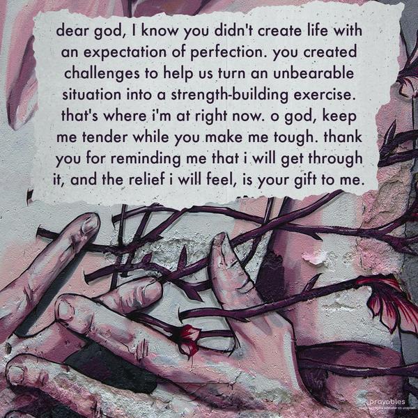 Dear God, I know you didn't create life with the expectation of perfection. You created challenges to help us turn an unbearable situation into a
strength-building exercise. That's where I'm at right now. O God, keep me tender while you make me tough. Thank You for reminding me that I will get through it, and the relief I will feel is Your gift to me.