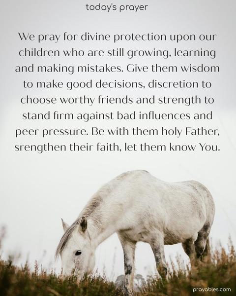  We pray for divine protection upon our children who are still growing, learning, and making mistakes. Give them wisdom to make good decisions, discretion to choose worthy friends, and strength to stand firm against bad influences and peer pressure. Be with them, holy Father, strengthen their faith, let them
know You.