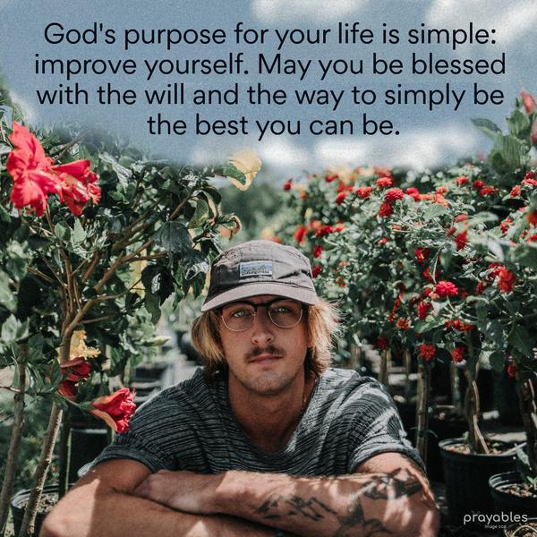 God’s purpose for your life is simple: improve yourself. May you be blessed with the will and the way to simply be the best you can be.