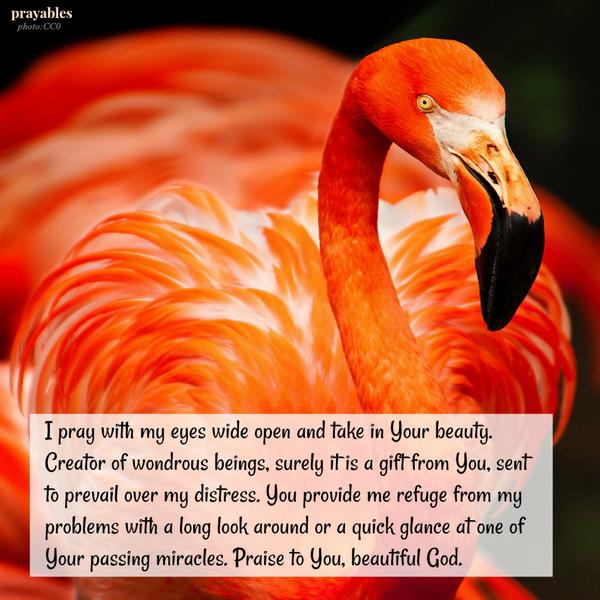 Praise to You, beautiful God.