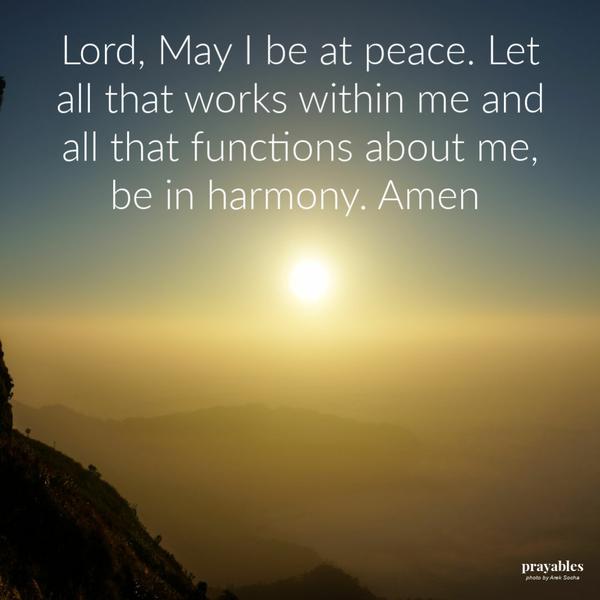 Lord, May I be at peace. Let all that works within me and all that functions about me, be in harmony. Amen