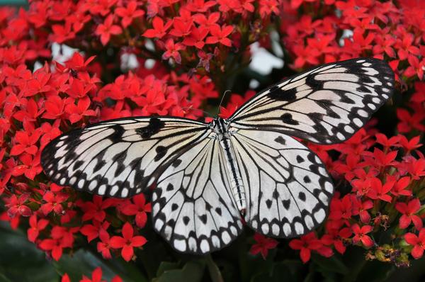 Sometimes it makes sense to sit and do nothing. May you be blessed with moments of release, peace, and understanding.