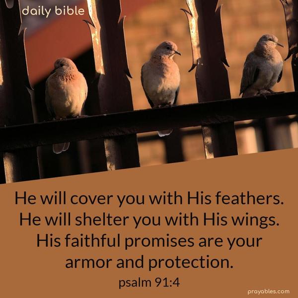 He will cover you with his feathers. He will shelter you with His wings. His faithful promises are your armor and protection. Psalm 91:4