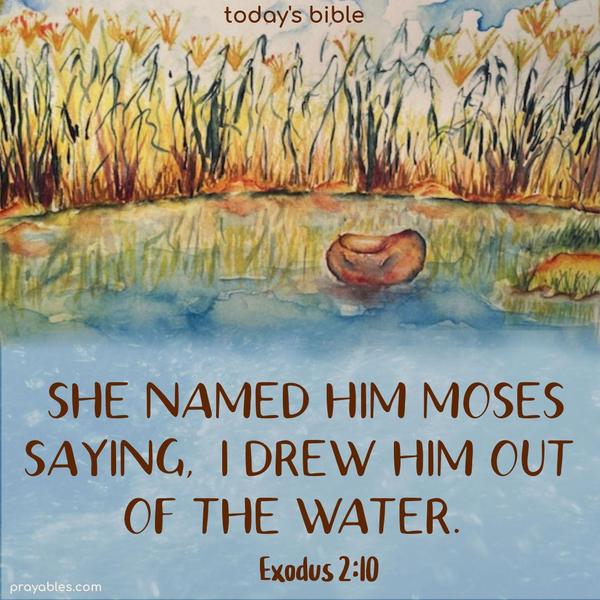 She named him Moses saying, “I drew him out of the water.” Exodus 2:10