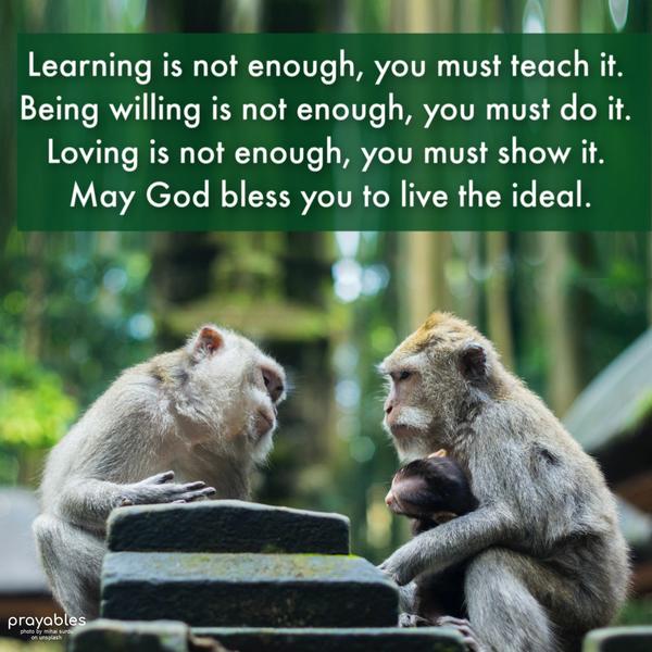 Learning is not enough, you must teach it. Being willing is not enough, you must do it. Loving is not enough, you must show it. May God bless
you to live the ideal.