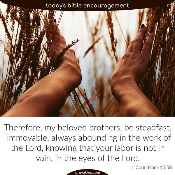 1 Corinthians 15:58 Therefore, my beloved brothers, be steadfast, immovable, always abounding in the work of the Lord, knowing that in the Lord your labor is not in vain.