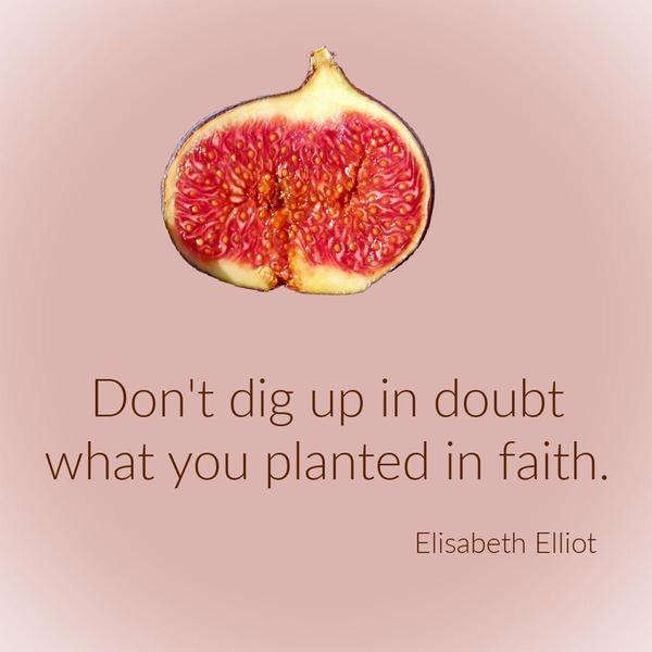 Don’t dig up in doubt what you planted in faith. Elisabeth Elliot