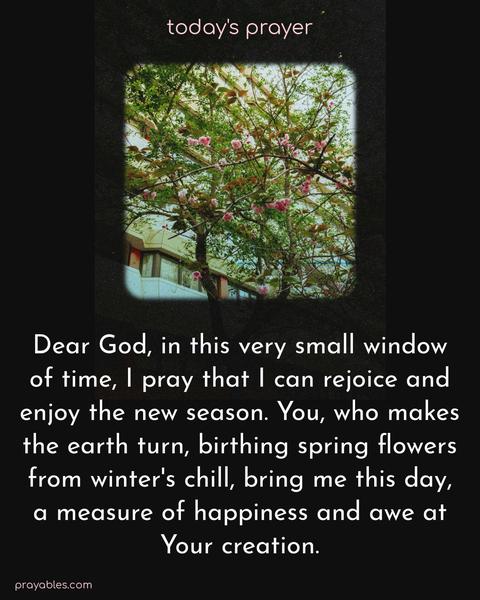 Dear God, in this very small window of time, I pray that I can rejoice and enjoy the new season. You, who makes the earth turn, birthing spring flowers from winter's chill, bring me this day, a measure of happiness and awe at Your creation.