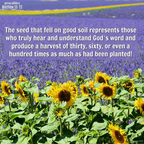 Matthew 13:23 The seed that fell on good soil represents those who truly hear and understand God’s word and produce a harvest of thirty, sixty, or even a hundred times as much as had been planted!